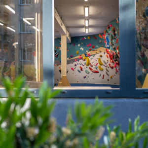 Jungle_011.jpg